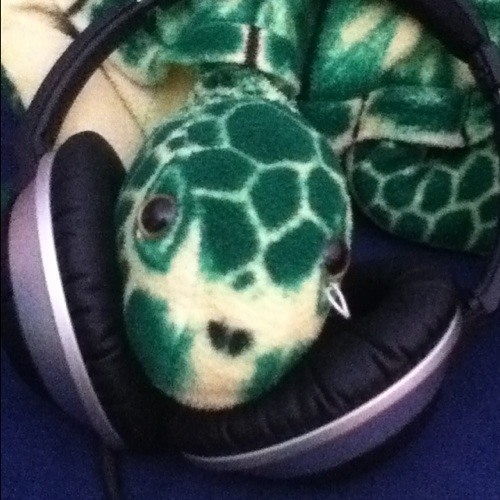 eletroturtle’s avatar