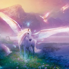 dj unicorns 'n shit bitch