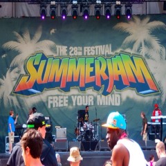 ProVenCer33 Andreett