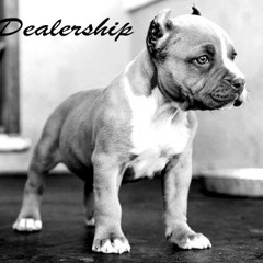 Da Dealership | Dig This