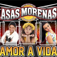 Asas Morenas Vol 11 - Te Amo De Verdade - VOL 11