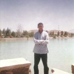 Ali Reza