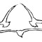 Oto Turkiashvili
