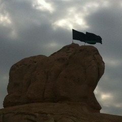 قصيدة الرادود نصرالله السليمان | وفاة السيدة رقية | لشاعر حسن طاهر المعيبد