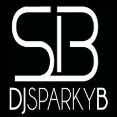 DJ Sparky B (Seb.K)