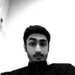 Syed Mohammed Aly Nackvi