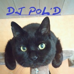 DJ-Pol'D