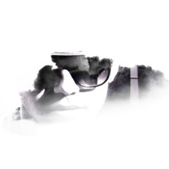 Fly