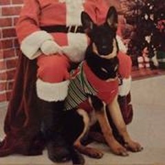 Nicole Fehr-Messinger