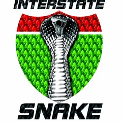 InterstateSnake