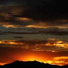 DankSunSets.Radio