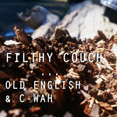 Filthy Couch