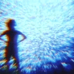 Video Cassette