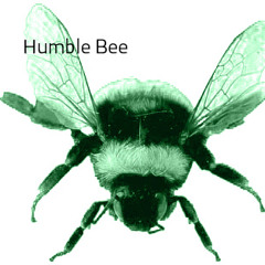 Humble Bee
