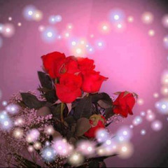 aamer