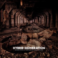 HYBRID EXONERATION