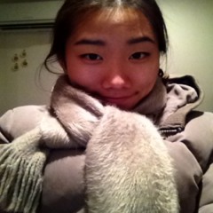 cherryfilter-flying duck cover.  its weird without vpbackground music :(