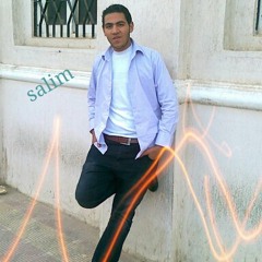 mohamed salem elbna