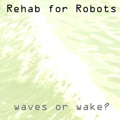 Rehab for Robots
