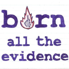 Burn All The Evidence