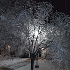 Tyreese Fly Ty Younger