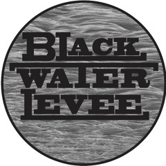 Black Water Levee