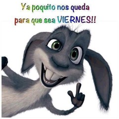 Roca rol