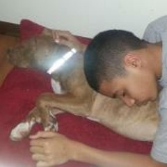 Abijah BallisLife Ford