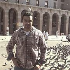 Ashraf Ahmed Mohamed