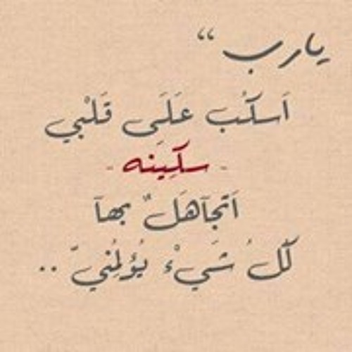 مديح المصطفى & النور مولده & رضينا يا بني الزهرا.. الحضرة من مقام سيدي محمد أبو خليل