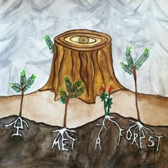 I Met A Forest