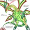 uber flygon
