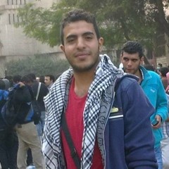 user903680557