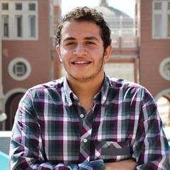 Ahmed Amr El Desouky