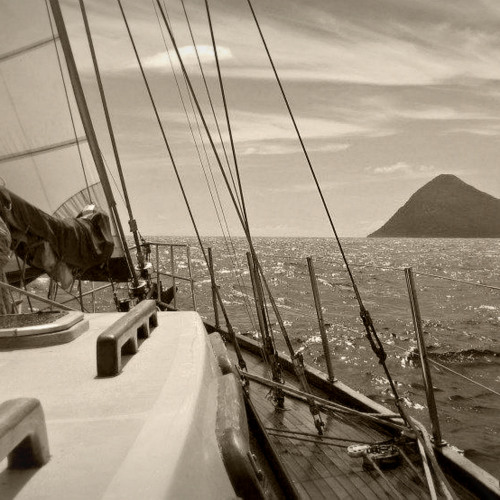 Funga Fele'ave by Tu'imala Kaho