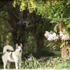 Simón Oswaldo Colmenárez