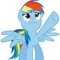 Flutter_The_Shy