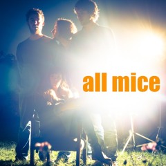 All Mice