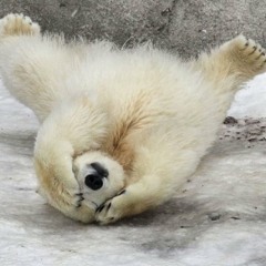 therolarbear