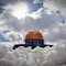 Rawan Dandis
