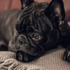 Anne Struwe Christensen