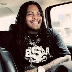 BSM1017
