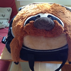 obscenely scarved sheep