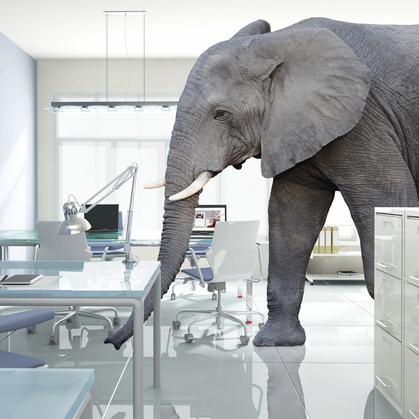 elephantintheroom.io podcast artwork