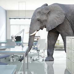 elephantintheroom.io