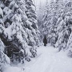 Pascale Montplaisir-Jules