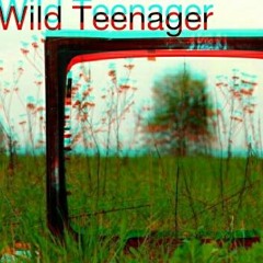 Wild Teenager