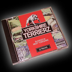Yorkshire Terrierz