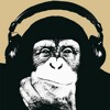 The Lumineers Stubborn Love (FlicFlac Remix)