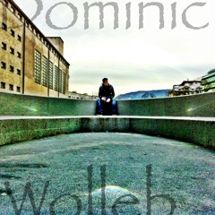 Dominic Wolleb